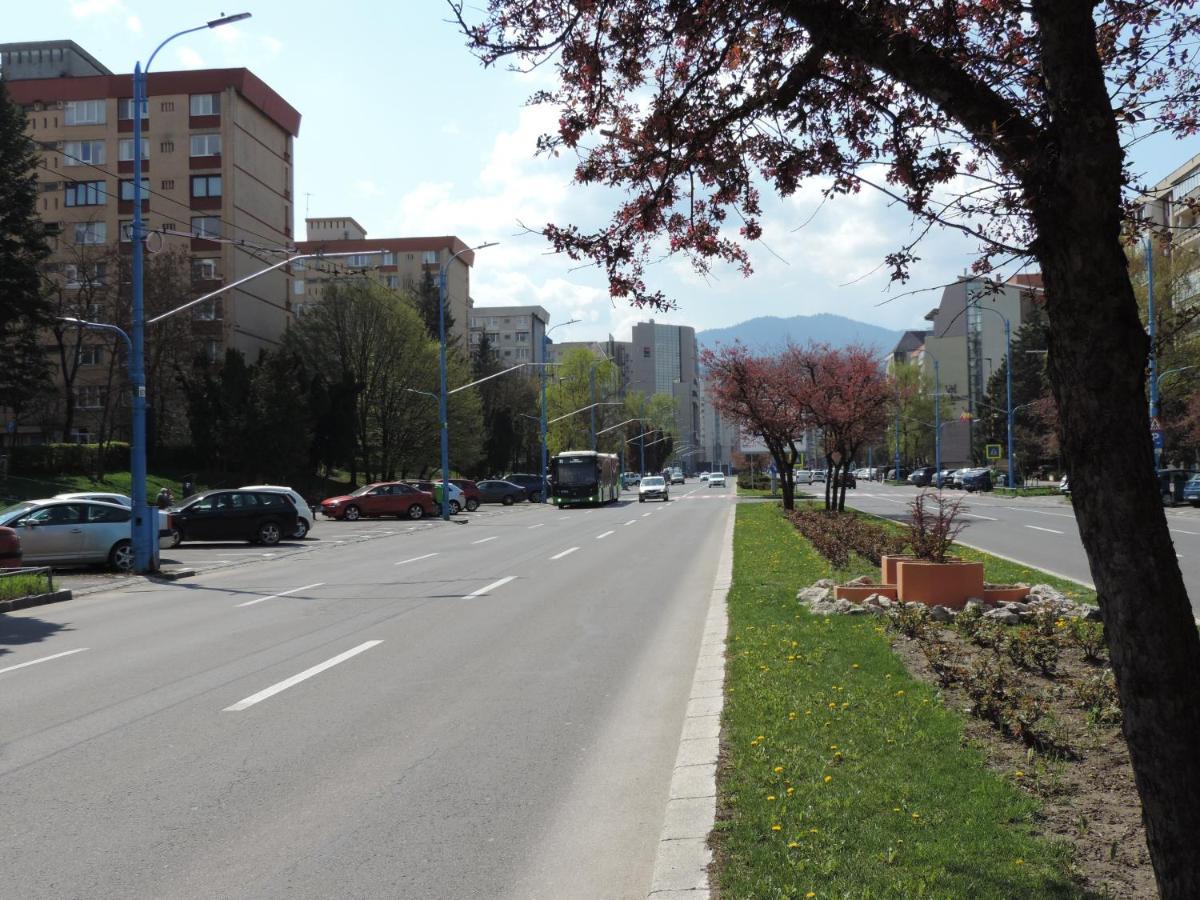 בראשוב Victoriei Boulevard Private Apartment מראה חיצוני תמונה