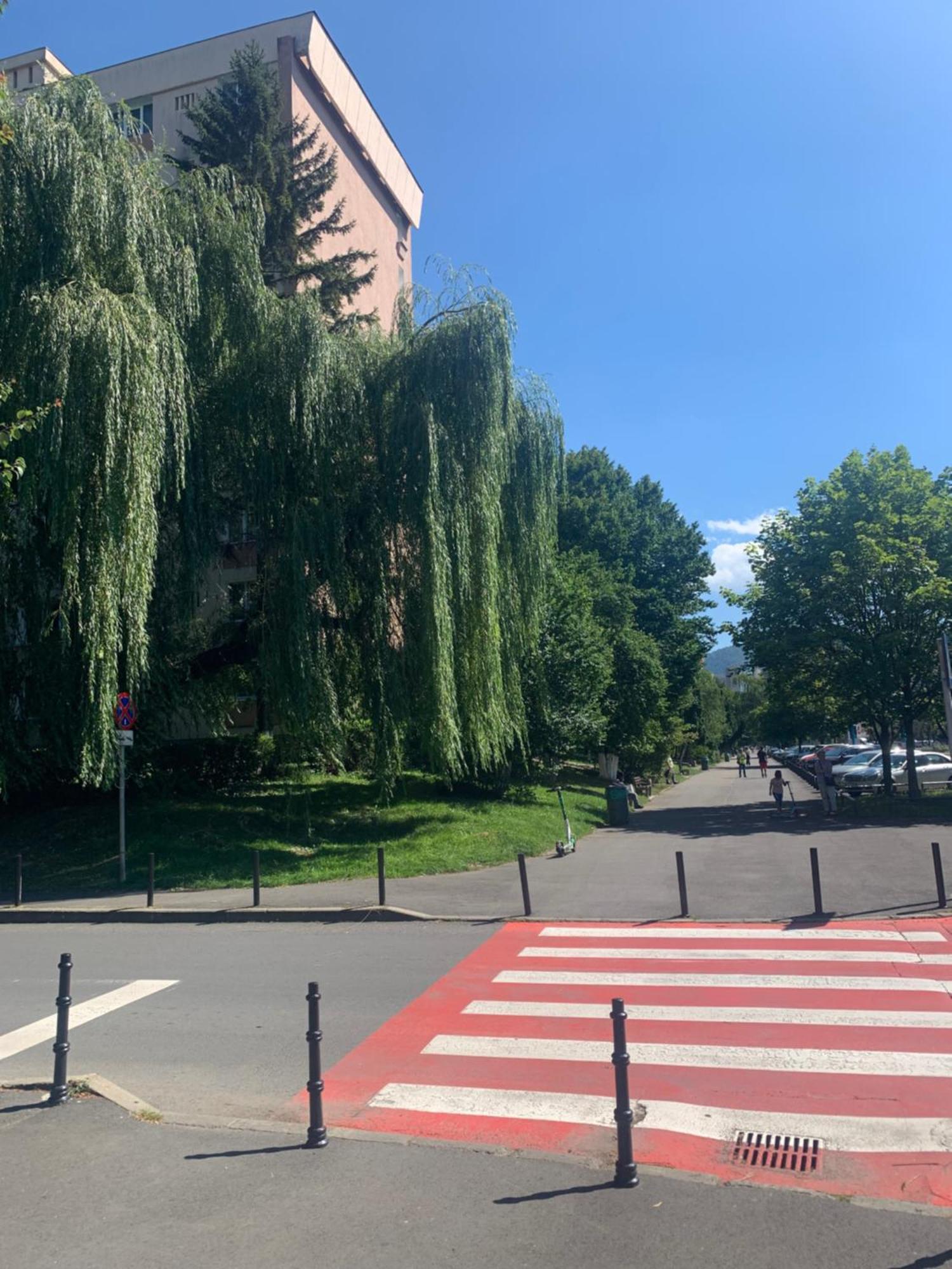 בראשוב Victoriei Boulevard Private Apartment מראה חיצוני תמונה